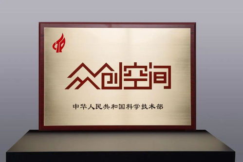 阜阳一企业入选科技部2020年度国家级众创空间，助力信息技术咨询服务发展