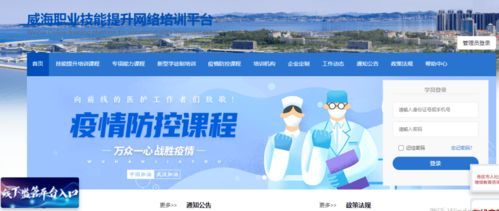 市人社局精准服务促进更高质量更充分就业，信息技术咨询服务成效显著